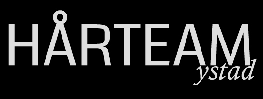 Hårteam i Ystad AB (logotyp)